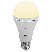 New Garden Bombilla LED recargable Lapera (E27, Intensidad regulable, Blanco cálido, 350 lm, 3,5 W) | BAUHAUS