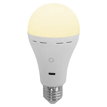 New Garden  Bombilla LED recargable Lapera