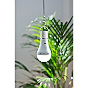 New Garden Bombilla LED recargable Lapera (E27, Intensidad regulable, Blanco cálido, 350 lm, 3,5 W) | BAUHAUS