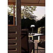 Eglo Lámpara de sobremesa a batería Meggiano (Ø x Al: 15 x 32 cm, Antracita, 1,5 W, IP54) | BAUHAUS