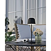 Eglo Lámpara de sobremesa LED Mannera (2,2 W, Ø x Al: 11 x 34 cm, Negro, 200 lm, IP54) | BAUHAUS