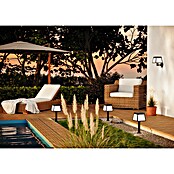 Eglo Aplique solar LED para exterior Altilia (8 W, Plástico, Blanco cálido, Negro) | BAUHAUS