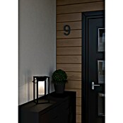 Eglo Lámpara de sobremesa solar Usigni (2,5 W, L x An x Al: 15 x 15 x 28 cm, Negro, IP44) | BAUHAUS