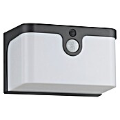 Eglo Aplique solar LED para exterior Croara (8 W, Plástico, Blanco cálido, Negro) | BAUHAUS