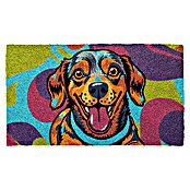 Felpudo Perro Pop (70 x 40 cm, Multicolor) | BAUHAUS