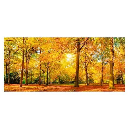 Cuadro de vidrio Otoño