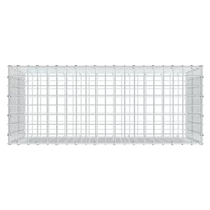 Gabiona Gabione - 100 x 40 x 60 cm, Stahl, Maschenbreite: 50 mm, Maschenhöhe: 50 mm - Rechteckiger, leerer Gabionenkorb aus silbernem Drahtgeflecht.
