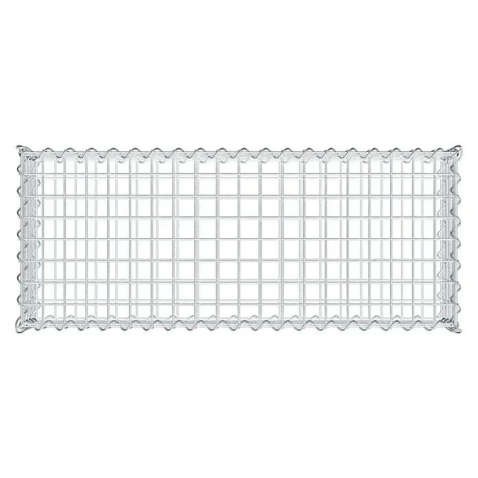 Gabiona Gabione - 100 x 40 x 20 cm, Metall, Maschenbreite: 50 mm, Maschenhöhe: 50 mm - Bild eines leeren Gabionenkorbs aus Metall, der für Steine oder andere Füllmaterialien vorbereitet ist.