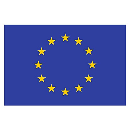 Bandera Europa (30 x 45 cm)