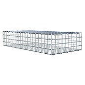 Gabiona Gabione (100 x 50 x 20 cm, Stahl, Maschenbreite: 50 mm, Maschenhöhe: 50 mm, C-Ring) | BAUHAUS