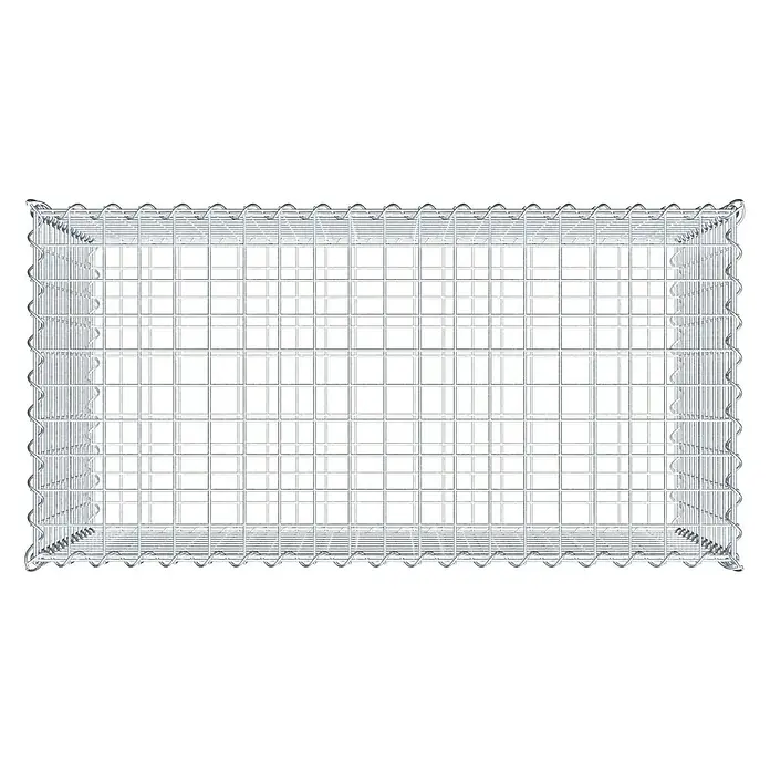 Gabiona Gabione - 100 x 50 x 60 cm, Metall, Maschenbreite: 50 mm, Maschenhöhe: 50 mm - Gabionenkorb aus Drahtgeflecht, robust und vielseitig für Garten- und Landschaftsbauprojekte, bietet stabilen Halt für Steine und Erdmassen.