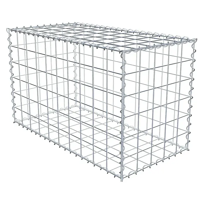 Gabiona Gabione - 100 x 50 x 60 cm, Metall, Maschenbreite: 100 mm, Maschenhöhe: 100 mm - Drahtschotterkorb für Landschaftsbau. Robuste Gabione zur Hangbefestigung und dekorativen Gestaltung im Garten.