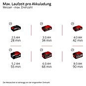 Einhell Professional Akku-Motorsense SOLO GP-BC 36/430 LI P BL (36 V, Ohne Akku, Schnittbreite Faden: 43 cm, Schnittbreite Messer: 25,5 cm) | BAUHAUS