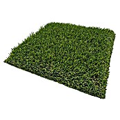 Césped artificial Bermudas (5 x 2 m, Altura del pelo: 47 mm, 14.175 puntadas/m²) | BAUHAUS