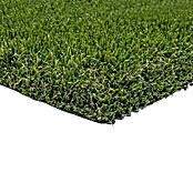 Césped artificial Bermudas (5 x 2 m, Altura del pelo: 47 mm, 14.175 puntadas/m²) | BAUHAUS