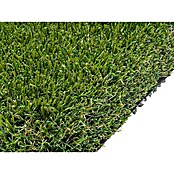 Césped artificial Bermudas (5 x 2 m, Altura del pelo: 47 mm, 14.175 puntadas/m²) | BAUHAUS