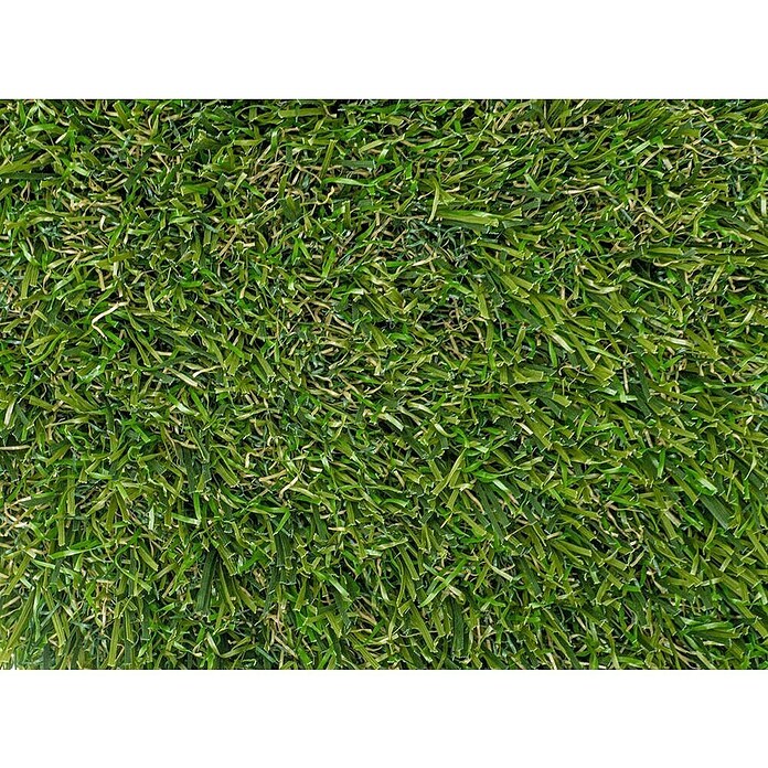 Césped artificial Bermudas (5 x 2 m, Altura del pelo: 47 mm, 14.175 puntadas/m²) | BAUHAUS
