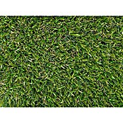 Césped artificial Bermudas (5 x 2 m, Altura del pelo: 47 mm, 14.175 puntadas/m²) | BAUHAUS