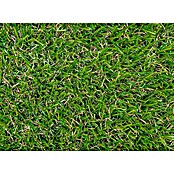 Césped artificial Madeira (5 x 2 m, Verde, Altura del pelo: 28 mm) | BAUHAUS