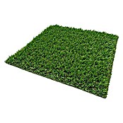 Césped artificial Bali (5 x 2 m, Altura del pelo: 25 mm, 18.900 puntadas/m²) | BAUHAUS