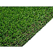 Césped artificial Bali (5 x 2 m, Altura del pelo: 25 mm, 18.900 puntadas/m²) | BAUHAUS