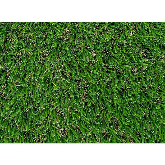 Césped artificial Bali (5 x 2 m, Altura del pelo: 25 mm, 18.900 puntadas/m²) | BAUHAUS