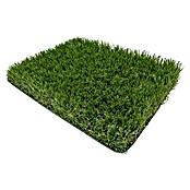 Césped artificial Sicilia (5 x 2 m, Verde, Altura del pelo: 38 mm, Densidad: 21.000 puntadas/m²) | BAUHAUS