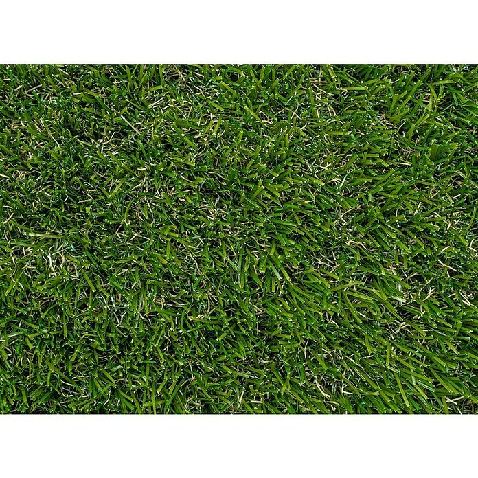 Césped artificial Sicilia (5 x 2 m, Verde, Altura del pelo: 38 mm, Densidad: 21.000 puntadas/m²) | BAUHAUS