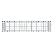 Gabiona Gabione (100 x 20 x 50 cm, Stahl, Maschenbreite: 50 mm, Maschenhöhe: 50 mm, C-Ring) | BAUHAUS