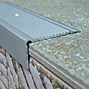 Perfil para escalera autoadhesivo (1 m x 45 mm x 22 mm, Aluminio, Mate)