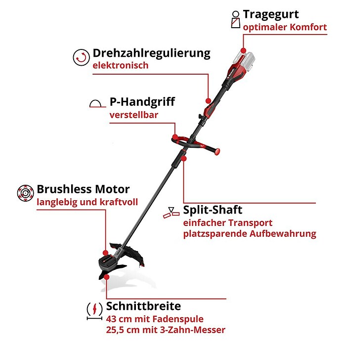 Einhell Professional Akku-Motorsense SOLO GP-BC 36/430 LI P BL (36 V, Ohne Akku, Schnittbreite Faden: 43 cm, Schnittbreite Messer: 25,5 cm) | BAUHAUS