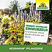 Neudorff NeudoHum Pflanzerde (75 l)