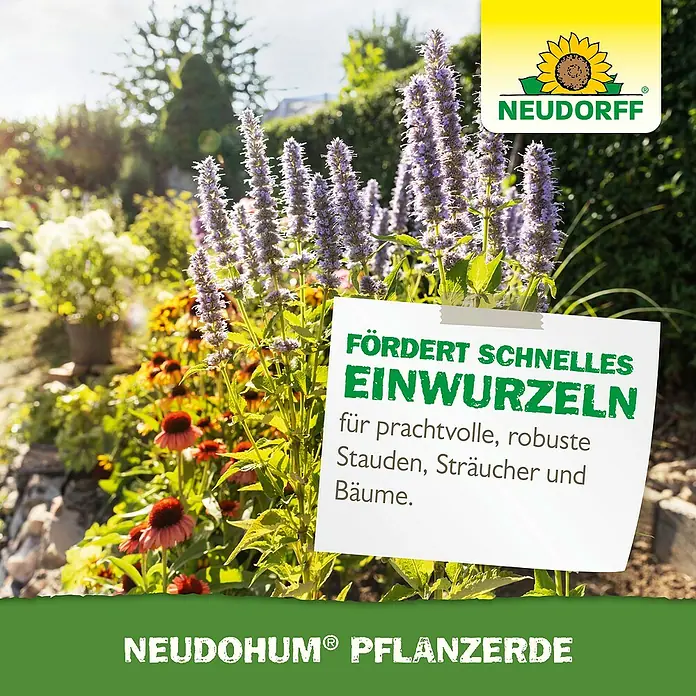Neudorff NeudoHum Bio-Pflanzerde - 40 l - Produktbild von Neudohum Pflanzerde, die schnelles Einwurzeln für prächtige Stauden, Sträucher und Bäume fördert.
