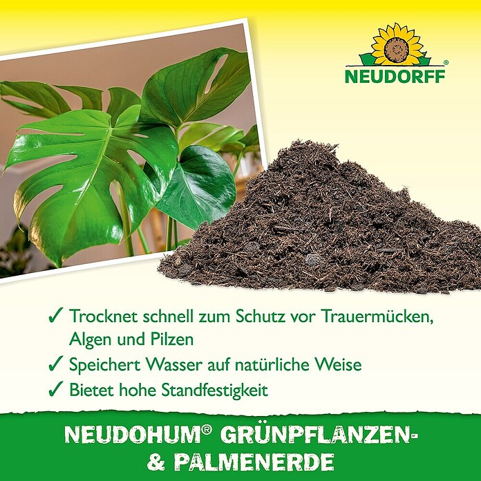 Neudorff NeudoHum Grünpflanzen- & Palmenerde (3 l, Torffrei) | BAUHAUS