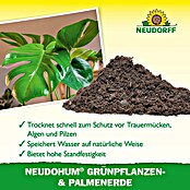Neudorff NeudoHum Grünpflanzen- & Palmenerde (3 l, Torffrei) | BAUHAUS