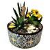 Piardino Pflanzenarrangement 