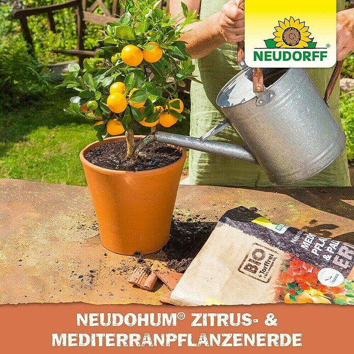 Neudorff NeudoHum Mediterranpflanzenerde (10 l, Torffrei) | BAUHAUS