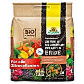 Neudorff NeudoHum Mediterranpflanzenerde (10 l, Torffrei) | BAUHAUS
