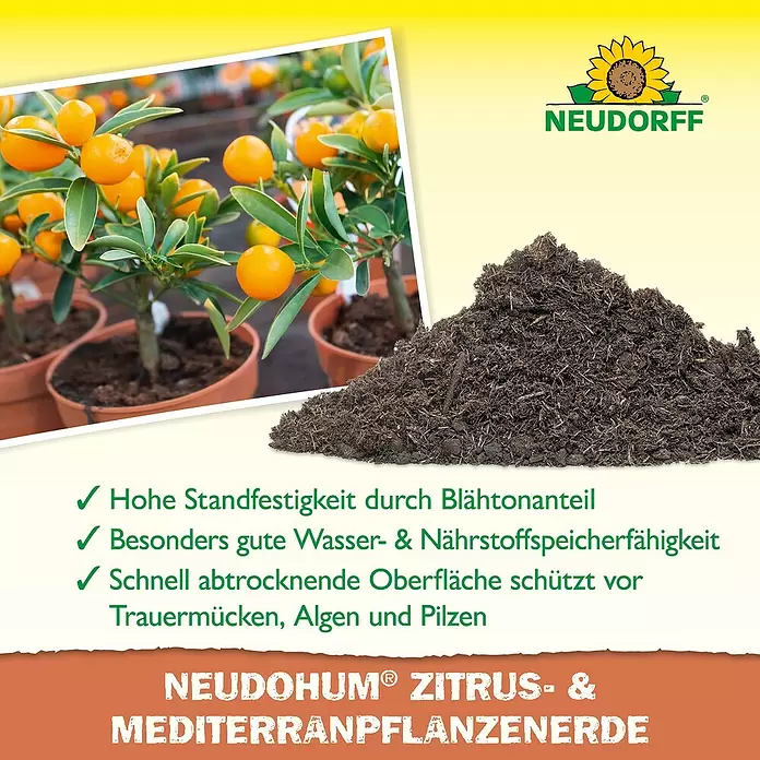 Neudorff NeudoHum Mediterranpflanzenerde - 20 l - Neudohum Blumenerde für Zitrus- & Mittelmeerpflanzen, mit einem Haufen dunkler Erde und Topf-Kumquatpflanzen.