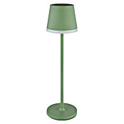 Globo Solarna stolna svjetiljka  (Zelena, Topla bijela, IP44, Ø x V: 11 x 41 cm) | BAUHAUS