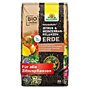 Neudorff NeudoHum Mediterranpflanzenerde (20 l) | BAUHAUS