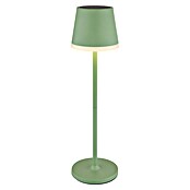 Globo Solarna stolna svjetiljka  (Zelena, Topla bijela, IP44, Ø x V: 11 x 41 cm) | BAUHAUS