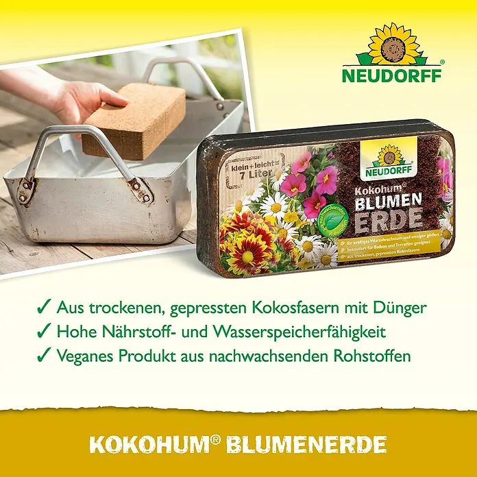 aloe vera für trockene kopfhaut Aloe Vera Splash – Erfrischung für Haut & Haar