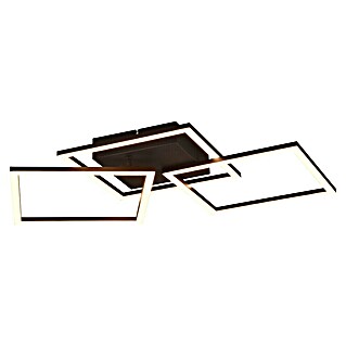 Trio Leuchten LED-Deckenleuchte Trail (31 W, L x B x H: 74 x 35 x 7 cm, Schwarz, Warmweiß)