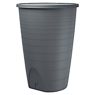 Regentonne Peruno (260 l, Anthrazit)