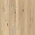 Oak