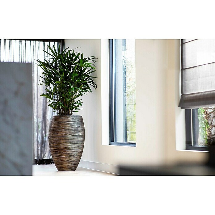 Capi Europe Bloempot (Ø x h: 40 x 60 cm, Black gold) | BAUHAUS