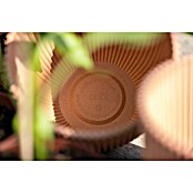 Capi Europe Bloempot (Ø x h: 16,5 x 15 cm, Metallic copper) | BAUHAUS