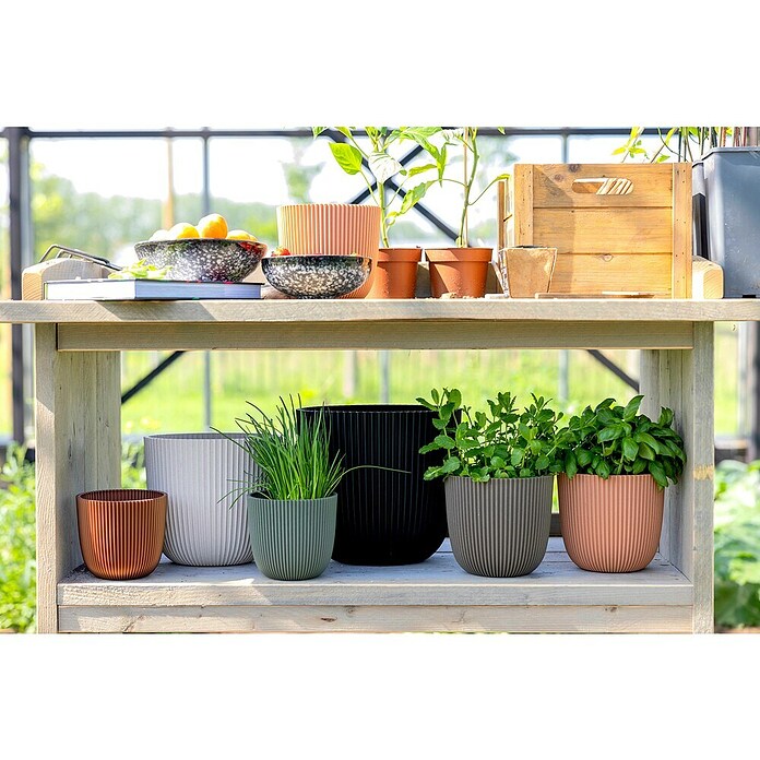 Capi Europe Bloempot (Ø x h: 21,5 x 20 cm, Black gold) | BAUHAUS