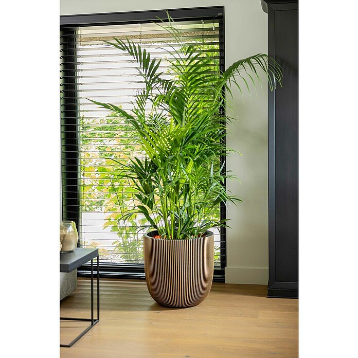 Capi Europe Bloempot (Ø x h: 54 x 52 cm, Black gold) | BAUHAUS